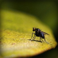 /album/siktivkar-dosug/photolia-a07-jpg/